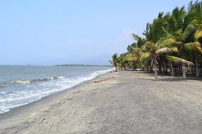 Oti 1 * Cienaga